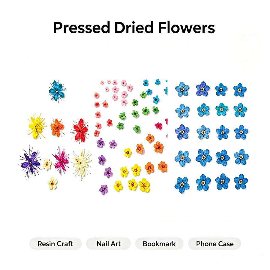 Resin Art Case - 60pcs Mini Pressed Dried Flowers -