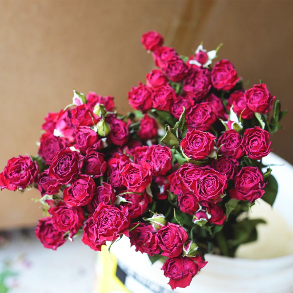 Natural Preserved Dried Rose F - Resin Art Rose 评论和价格